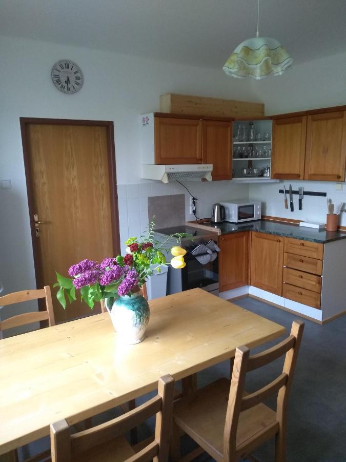 Apartament Hrncirna Kněževes Zewnętrze zdjęcie